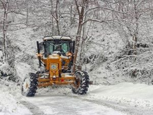 Giresun’da Kar Etkili Oldu: 377 Köy Yolu Ulaşıma Kapandı