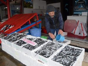 Hamsi’nin Ateşi Bir Türlü Düşmüyor