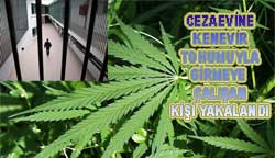Cezaevine kenevir sokmak istedi