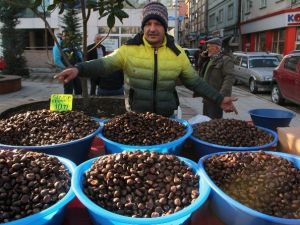 Kestane ’İn’, Fındık ’Out’
