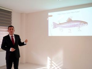 Dünyada Bir İlk: Kastamonu’da Yapıldı