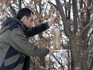 Yaban Hayatını Unutmayın