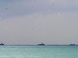 Uçakta Kızıl Ordu Korosu Mensupları Da Vardı