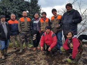Giresun’da Domuz Avı Başladı