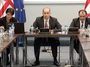 Gürcü Bakan: "Suriye’ye Yardım Göndereceğiz"