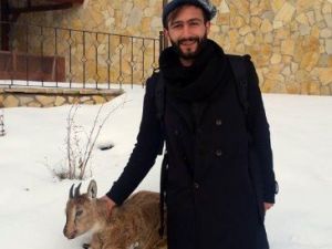 Yaban Keçisi Donarak Öldü