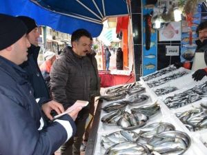 Görele’de Zabıta Ekipleri Balıkçıları Denetlendi