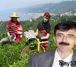 Çay Kanunu Mutlaka Hazırlanmalı