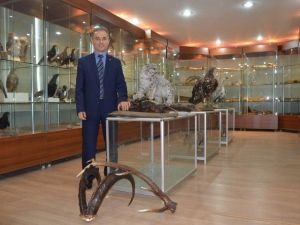 KTÜ Yaban Hayatı Müzesi’nde Yok Yok