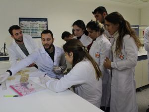 Yumurtalık Kanserinde Umut Veren Yöntem