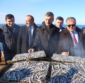 İyidere'de Üç Ton Hamsi Bir Saatte Tükendi