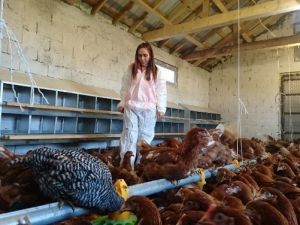Eynesil’de Hibe Desteğiyle Tavuk Çiftliği Kurdu