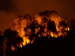 Çamburnu alev alev yanıyor. Belediye Başkanı Üstün'den yangın açıklaması
