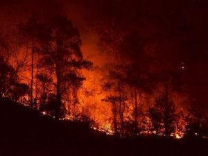 Trabzon Valisi Yücel Yavuz: “Yangında 15-20 Hektar Kadar Bir Alanın Etkilendiğini Düşünüyoruz”