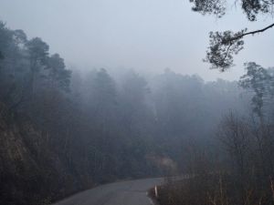 Günün Ağarmasıyla Trabzon’daki Yangının Boyutu Ortaya Çıktı