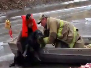 Zavallı Köpek Donmuş Nehirde Mahsur Kaldı