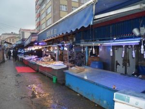 Trabzon’da Balık Sezonunun En Kısır Ve En Pahalı Dönemi Yaşanıyor