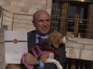 Chp’li Vekil Meclis’e Köpeğiyle Geldi