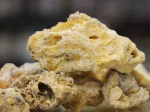 ’Çam Sakızı’ Sadece Deyimlerde Kullanılmıyor