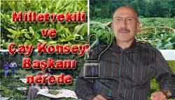 Çay üreticisini kim savunacak?