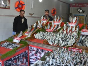 Balık Fiyatlarının Yükselmesi Satışları Etkiledi