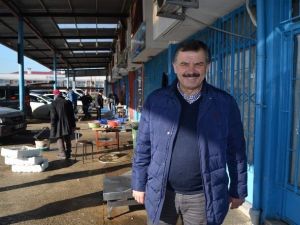 Gürcü Hamsisi De Çare Olmadı