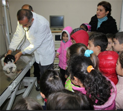 Rize'de Öğrenciler Veteriner Oldu