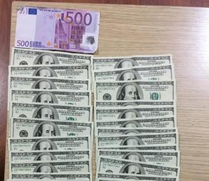 Rize’de Sahte Para Operasyonu 1 Tutuklama