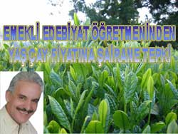 Çay fiyatına şiirli tepki