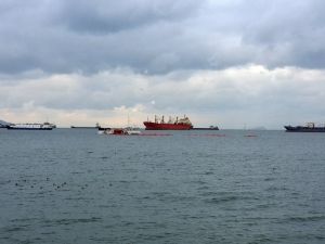 Zeytinburnu Açıklarında Temizlik Çalışmaları Sürüyor