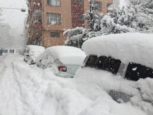 Burası Doğu Değil Rize!