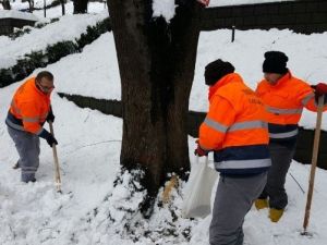 Trabzon’da Hayvanlar İçin Yemleme İstasyonları Oluşturuldu