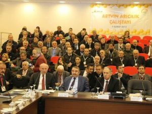 Artvin’de Arıcıların Sorunları Masaya Yatırıldı