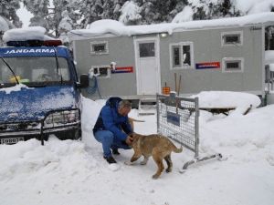 Jandarma Cerattepe’de 1 Yıldır Aralıksız Nöbet Tutuyor