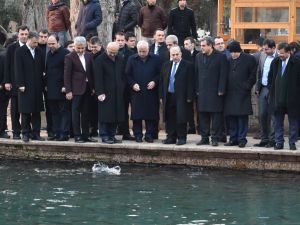 Bakan Elvan Balıklıgöl’ü Gezdi