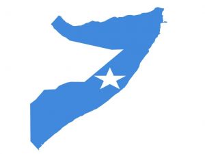 Somali Cumhurbaşkanını Seçiyor