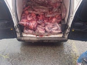 Giresun’da Bin 270 Kilogram Kaçak Et İmha Edildi