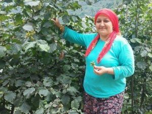 Giresun’da Şüpheli Ölüm