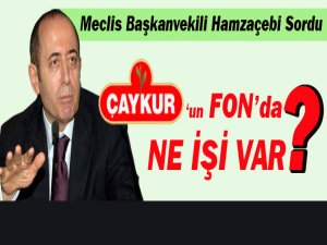 Çaykur’un Varlık Fonu’nda ne işi var?