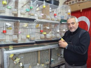 Böyle Kuş Sevgisi Görülmedi