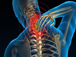 Kemiklerin Sessiz Hırsızları...