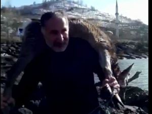 Denize Düşen Yaralı Karacayı Çıkartıp Sırtında Taşıdı