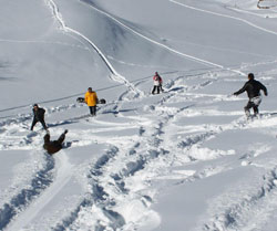 Petran Yaylası'nda Kayak Sezonu Açıldı