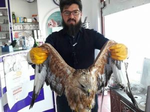Uçamayan Kartala Yardım Eli