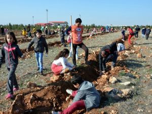 Minik Öğrenciler 10 Bin Fidan Dikti