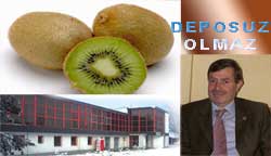 Kivi de soğuk hava deposu şart