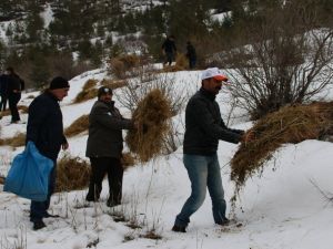 Gümüşhane’de Dünya Yaban Hayatı Günü Kutlandı