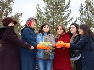 Tedavisi Tamamlanan ‘Çakır’ı Doğaya Kadınlar Salıverdi