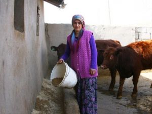 Diyarbakırlı Çiftin Hayatını Değiştiren Proje