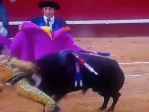 Kurban Bu Kez Matador Oldu